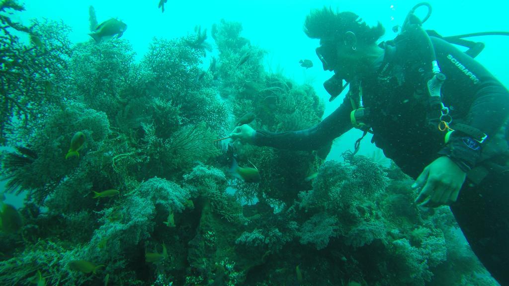 Ocean View Dive & Resort Tulamben